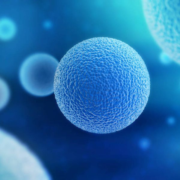 stem cell regeneration therapy mexico